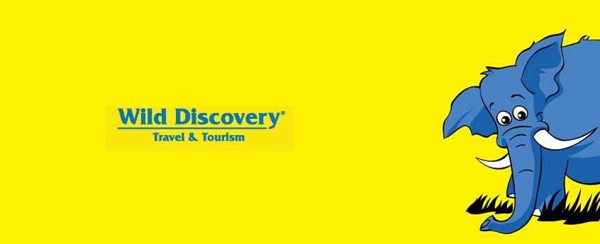 wild discovery travel agency